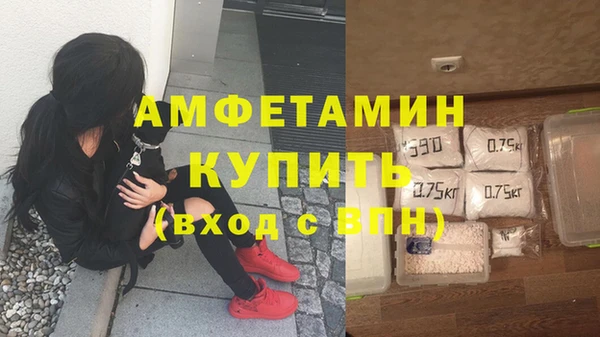 амф Костерёво