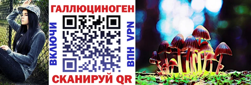 Галлюциногенные грибы Psilocybe  Купить  Рославль 
